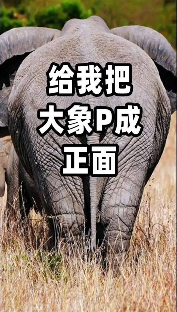 PS又来画饼了 现在真能把背面P成正面