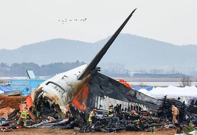 韩1家9口空难离世 家中仅剩1条狗 波音客机安全再引担忧