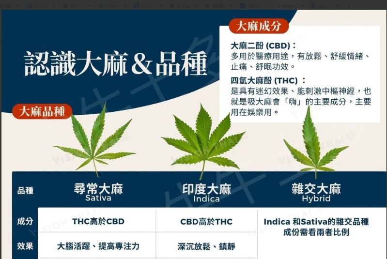 为吸引青少年尝试吸食大麻，毒贩发布贴文介绍吸食方法和益处，却只字不提记忆力衰退等症状。