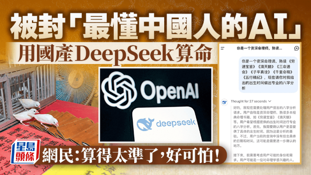 DEEPSEEK