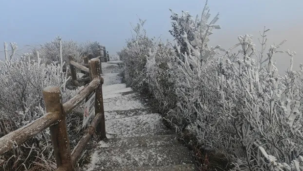 广东受冷空气侵袭，粤北金子山迎冰雪奇观。